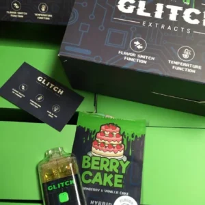 Glitch 4G Dual Disposable